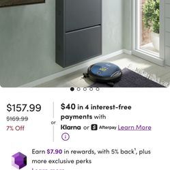 Metal Slim Black Shoe Rack