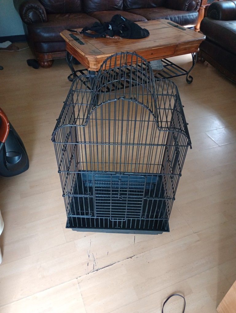 Black Bird Cage
