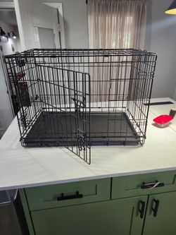 Dog kennel.