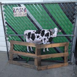 Cow Decoration