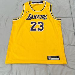 LeBron James Lakers Jersey #23 Youth Large