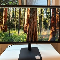 LG UltraFine 4K Monitor 24 Inch