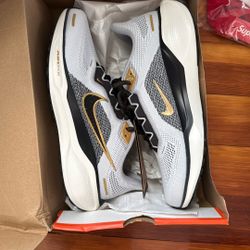 Nike Pegasus Air Zoom