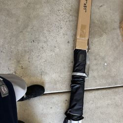 Two Projector Screens