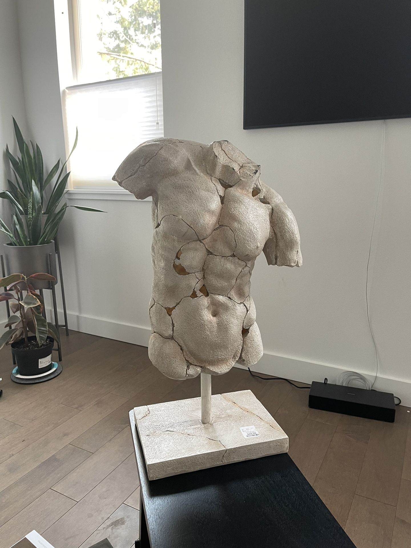 Man Statue