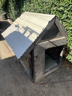 Free Doghouse