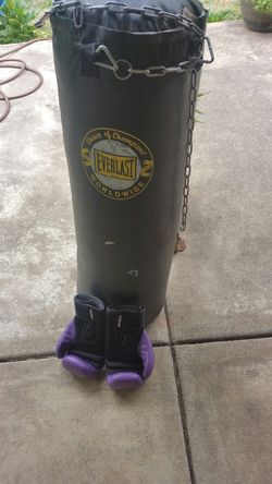 Everlast punchingbag with gloves