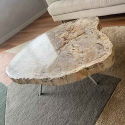 2 Petrified Wood Modern Coffee Tables 