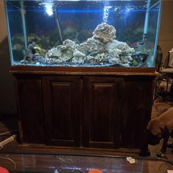 90 Gallon Fish Tank 