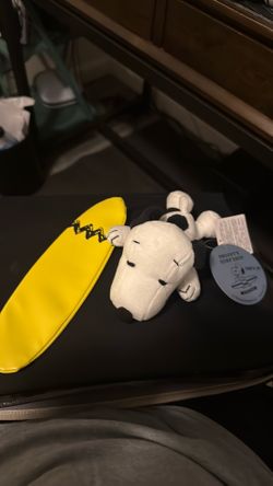 Snoopy Surf Shop Honolulu