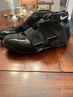 LeBron James Shoes 11.5