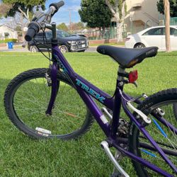 Trek Bike Medium 24inch Tires