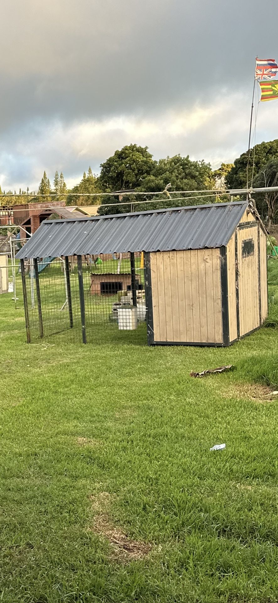 Chicken Coop