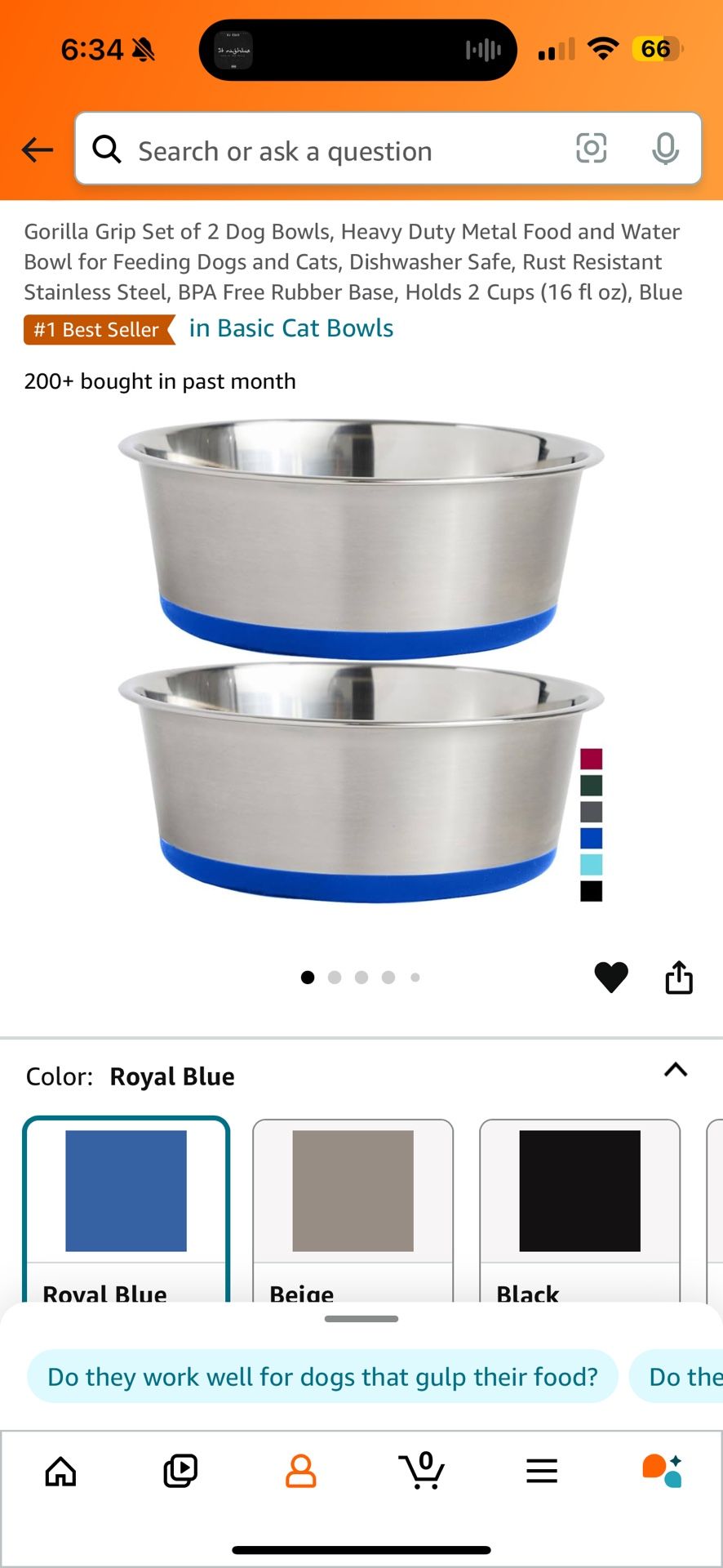 Dog Bowl