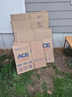 Professional Moving Boxes