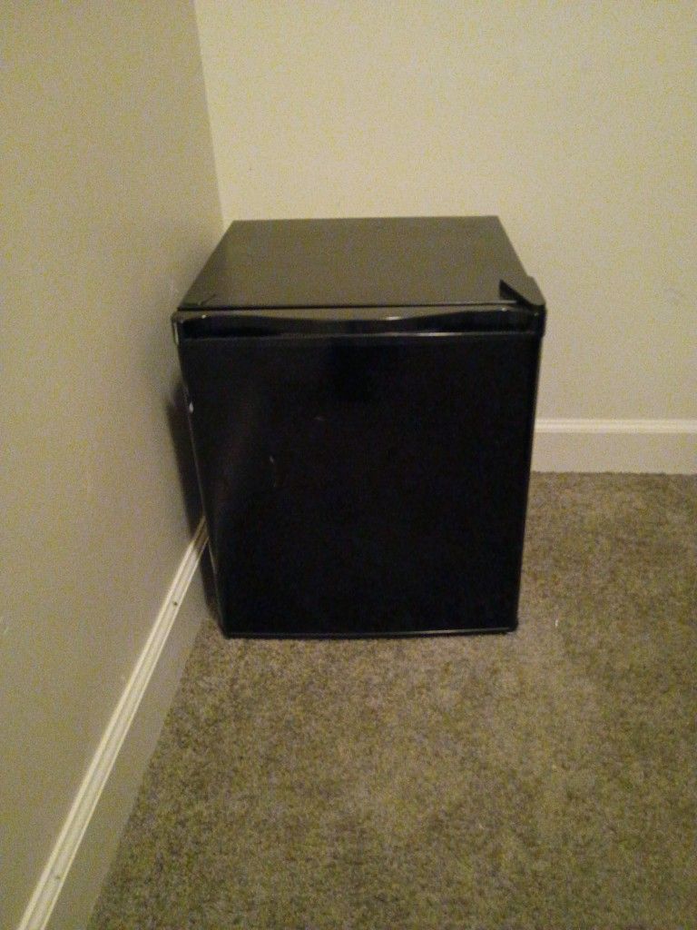 Mini Storage Fridge