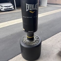 Everlast Punching Bag With Stand 
