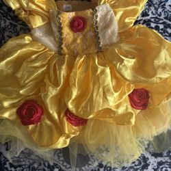 Disney Princess