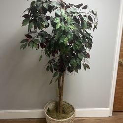 Artificial Tree plant
