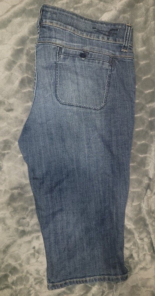 American Eagle Long Shorts