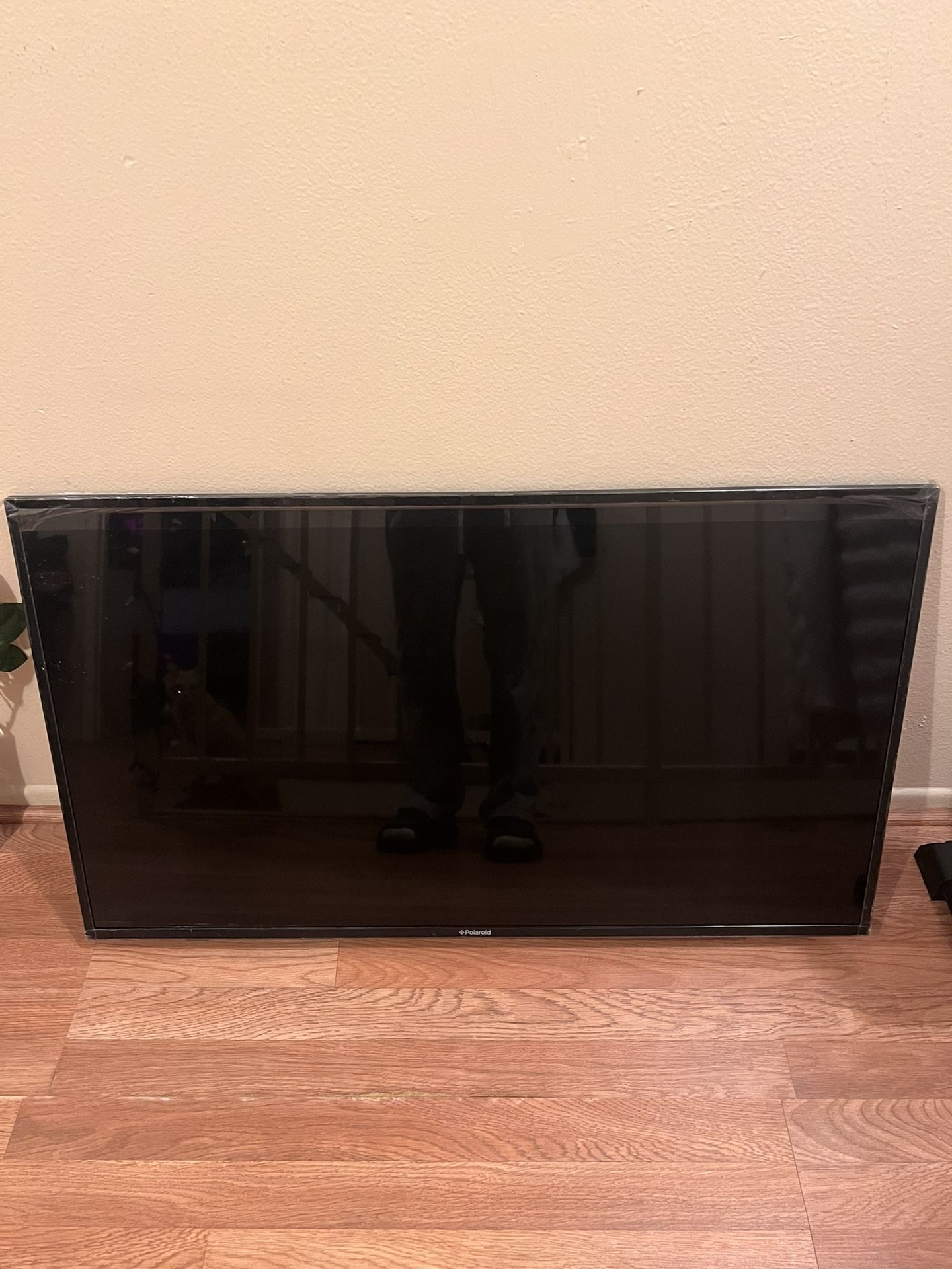 Polaroid TV no Remote :(