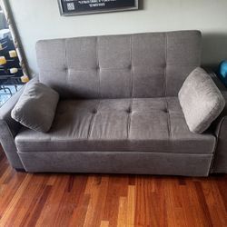 Couch To Pull Out Bed 