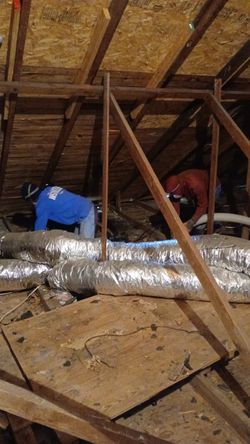 Insulation Vacuum Remova|