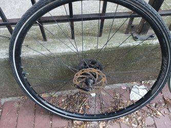 Disc Brake Bike Rims