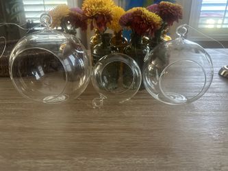 Glass Ball Ornaments Terrariums