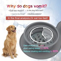 [Anti-Rollover]Portable Silicone Double Layer Dog Food & Water Bowl Foldable Anti-slip Anti-vomit#PetTravel #HikingEssentials 