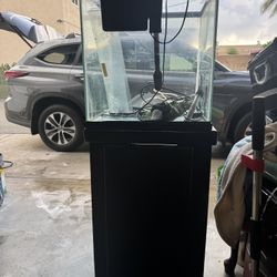 Fish Tank And Base With Filter