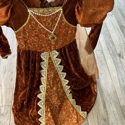 Brown/gold Princess Dress