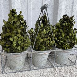4 Piece Set 