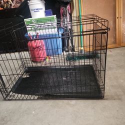 Dog Kennel 