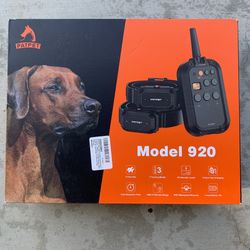 Patpet - Remote & 2 Receivers