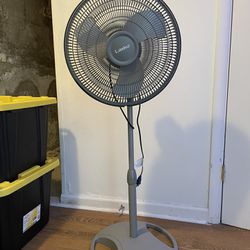 Standing Room Fan
