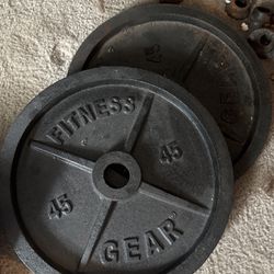 2 Plates 45 Pounds Fitness Gear 