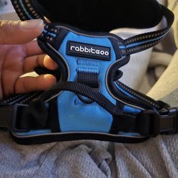 Dog Harness