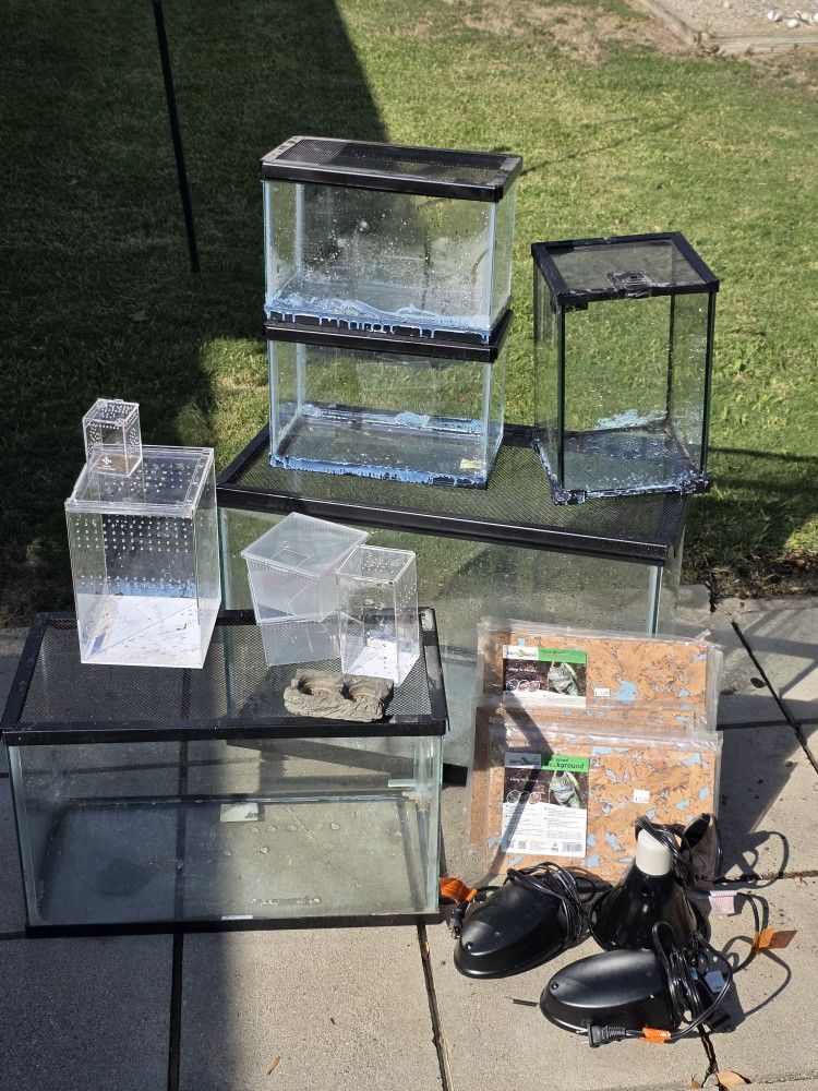 Reptile Enclosures & Supplies Lot