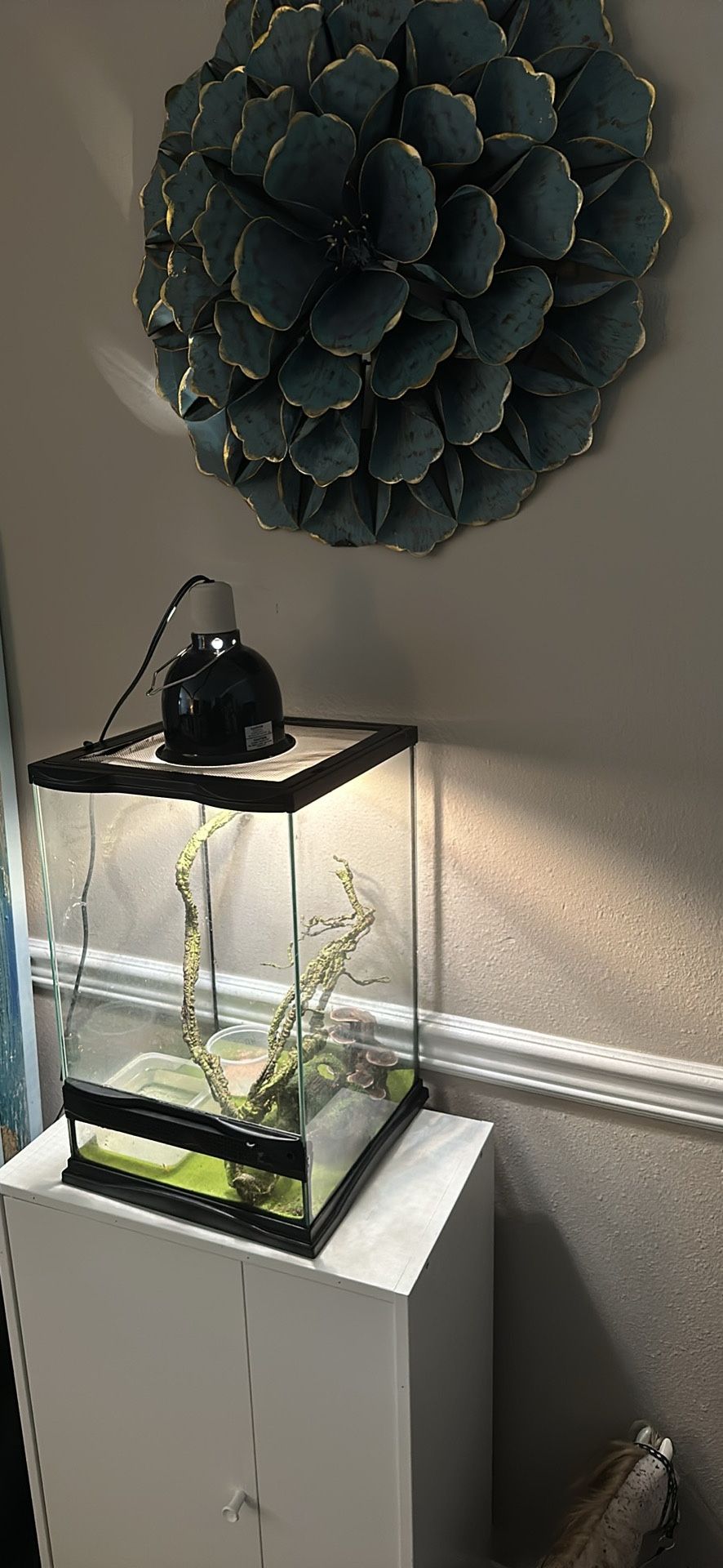 Terrarium