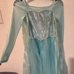 Frozen Costume