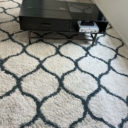 Plush Area Rug