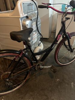 Susan G Komen Bike