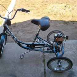 3 Wheeler Project With a Motor 