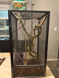 Reptile Enclosure