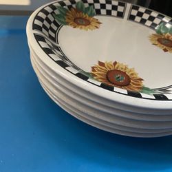 6 Plates 