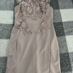 Large Women’s Dress 