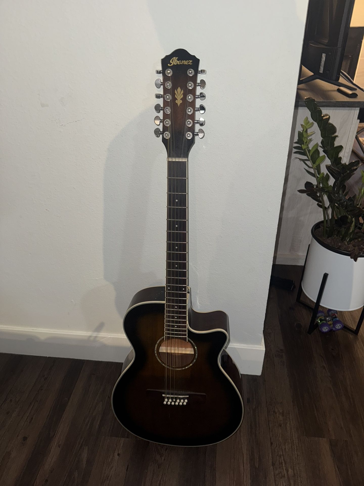 12 String Ibanez