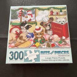 Bits & Piece 300 Piece Puzzle