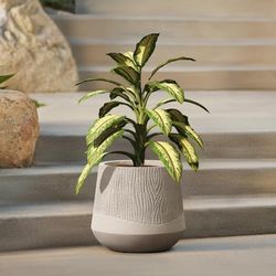 LUXENHOME CONCRETE ROUND PLANTER 